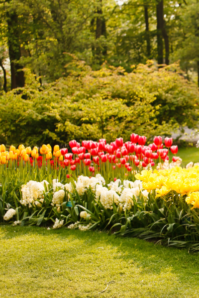 touring a garden