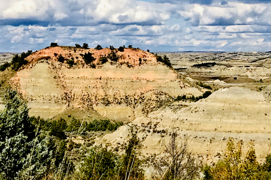 theodore Roosevelt national park 