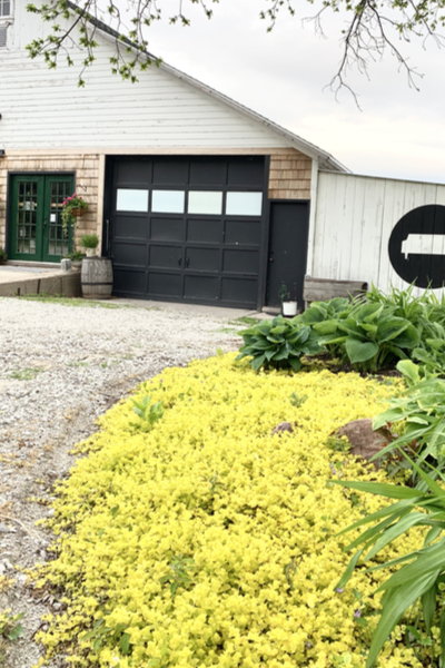 renovated barn