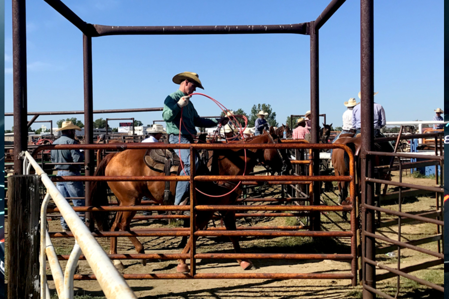 Heading to South Dakota With a Surprise Roadside Rodeo Stop Day 7