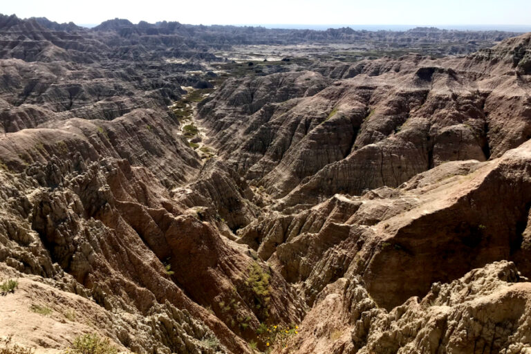 Hiking in the Badlands and the Creatures We Encountered Day 11