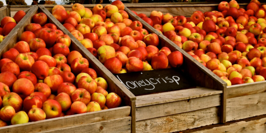 Starting Washington Off With A Drive Through Apple Country! Day 51 driving through apple country