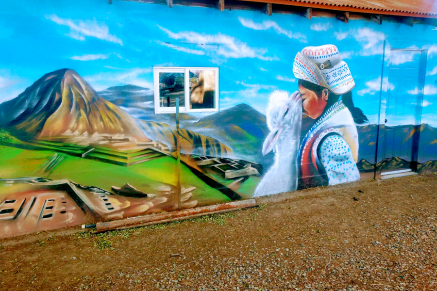 mural at alpaca farm