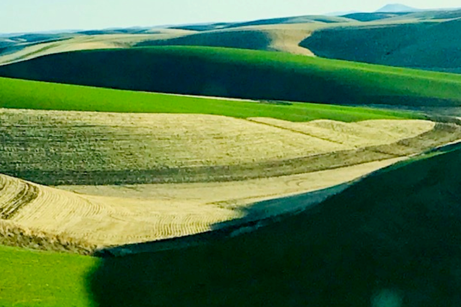 the rolling hills of Washington