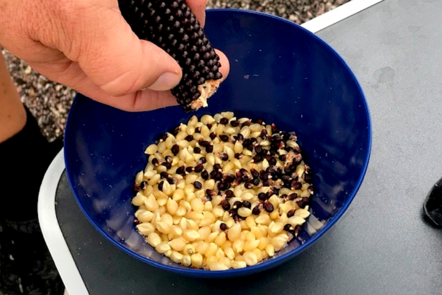 shelling popcorn 