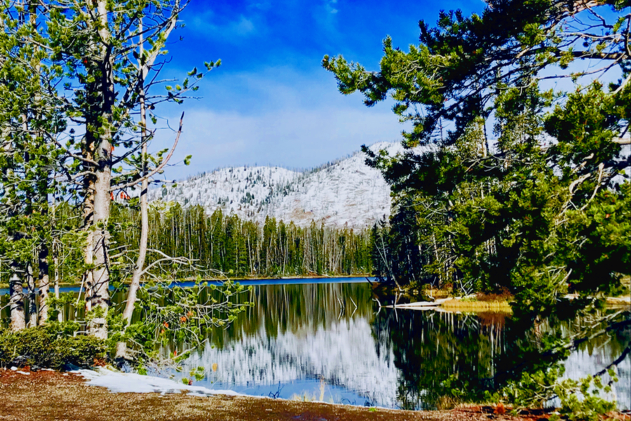 Yellowstone National Park