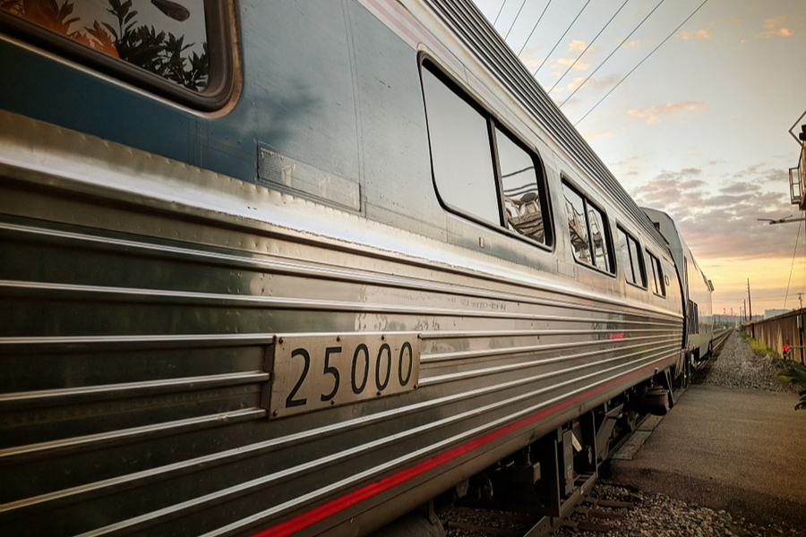 stopping the train