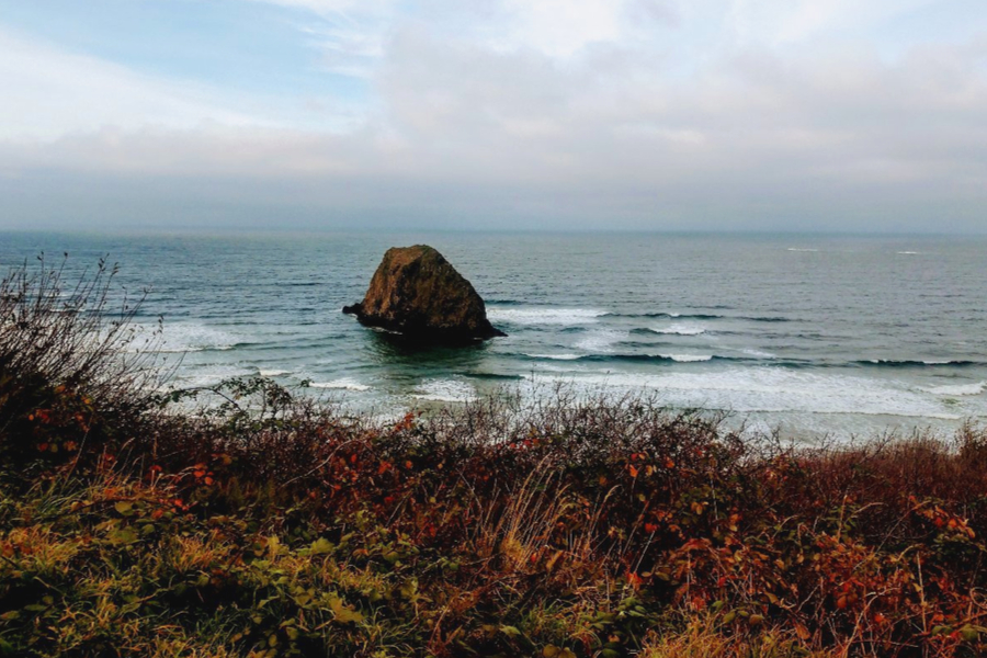 The Oregon Coastline