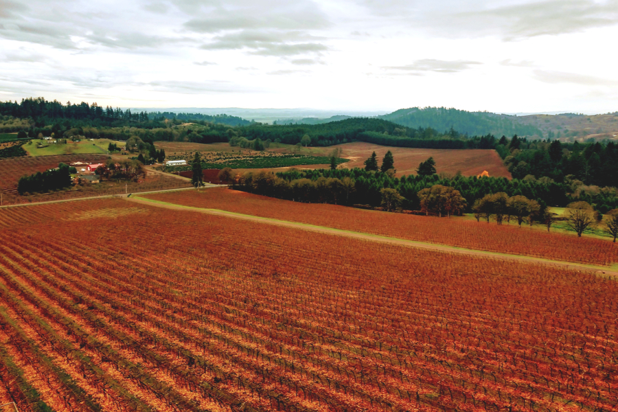 Oregon's wine country