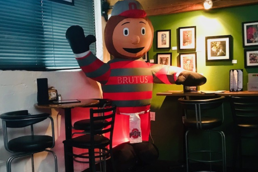 brutus buckeye 