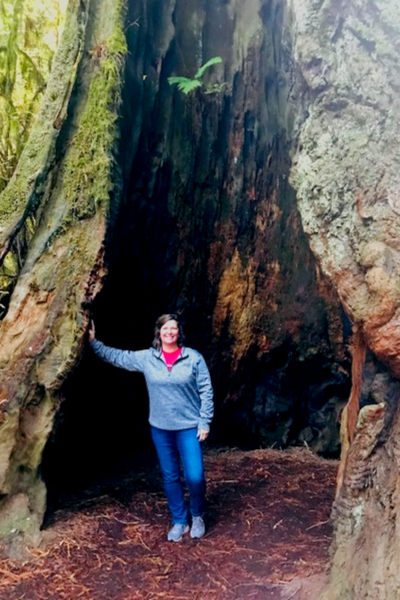 mary in redwood tree 