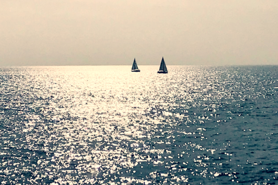 sailboats 