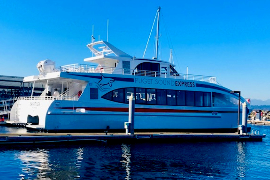 whale watching tour boat 