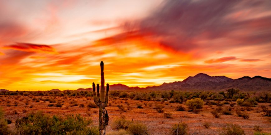 Heading To Arizona, And A Drive Through The Sonora Desert – Day 99! sonora desert