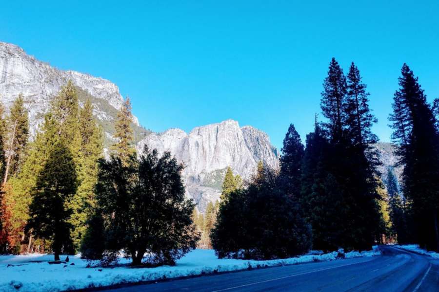 Beauty Of Yosemite