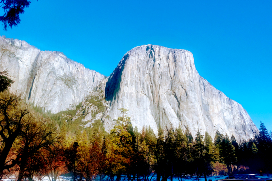 Beauty Of Yosemite