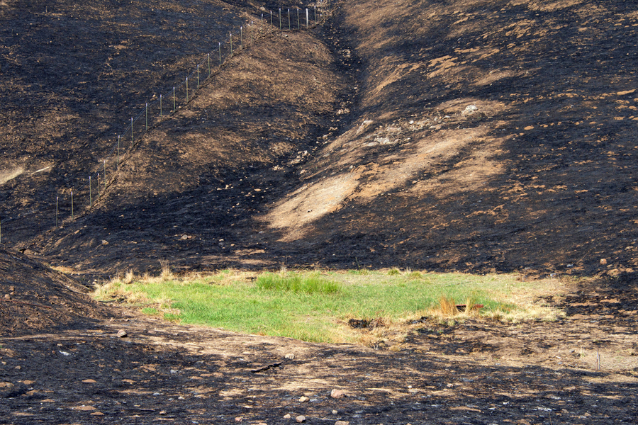 burned sonoma vallley 