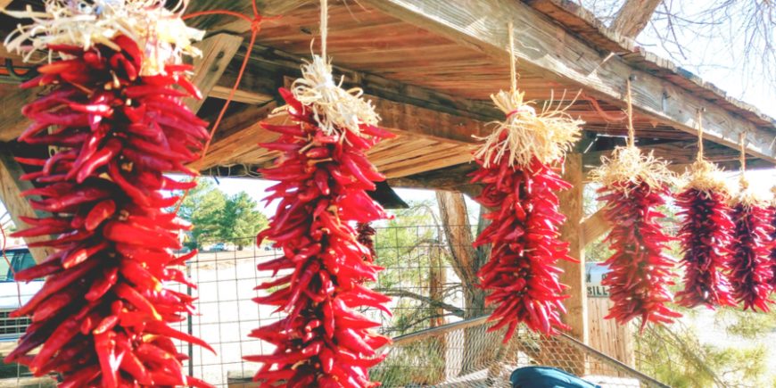 Chile Peppers & New Mexico – Two Beautiful Friends! Day 109 chili peppers new mexico