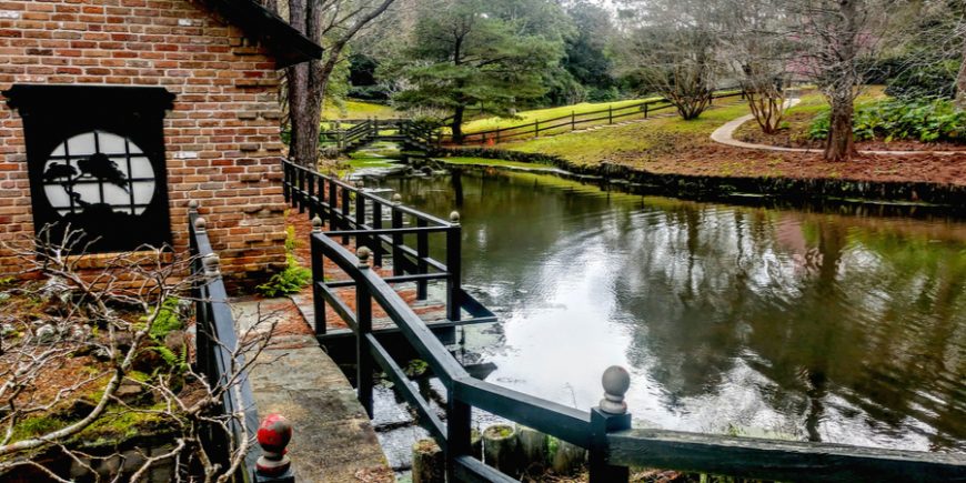 The Incredible Beauty of Mobile’s Bellingrath Gardens and Home – Day 155 The Garden