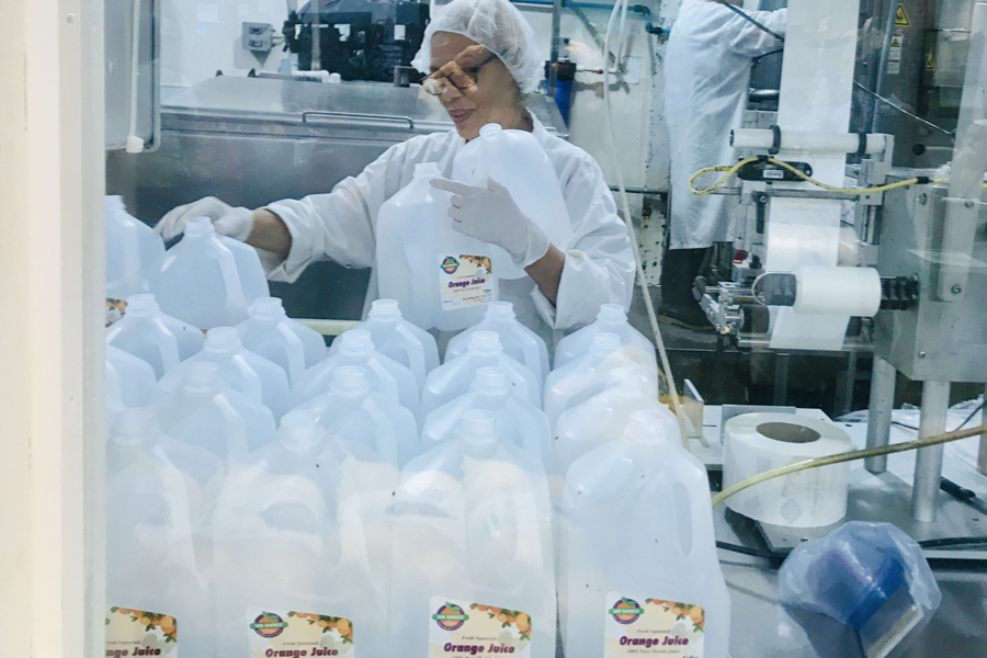 Sun Harvest Citrus bottling room