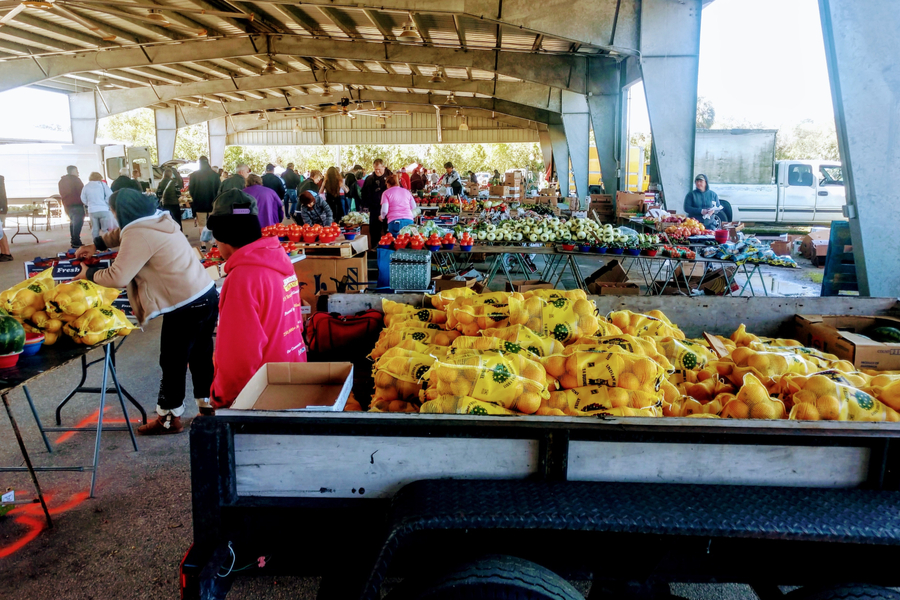 farmers market