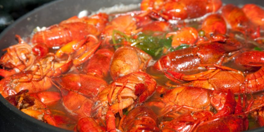 Enjoying The Great Food of Louisiana, Day 146 Enjoying The Great Food of Louisiana, Day 146