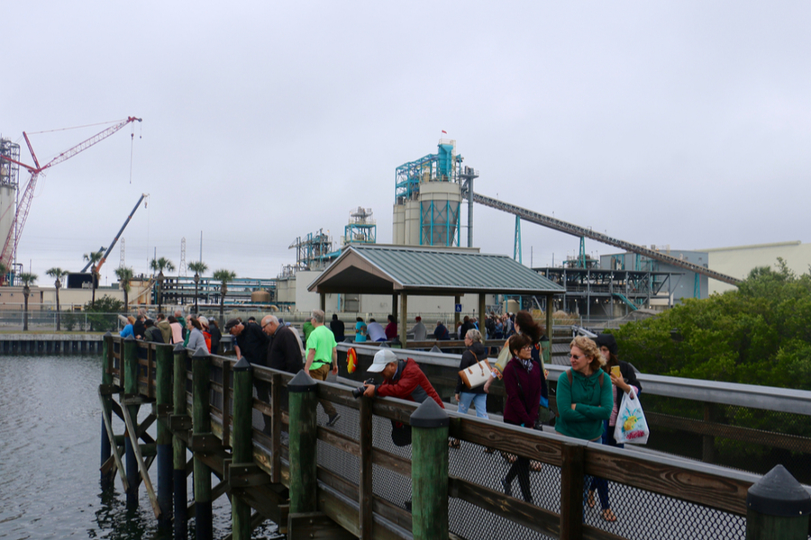 manatee viewing center boardwalk 