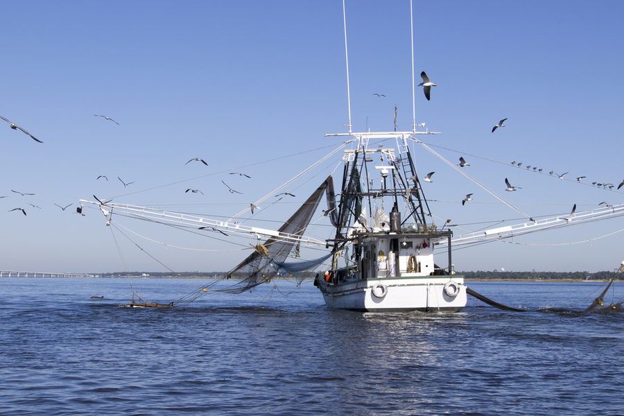 shrimp boat 