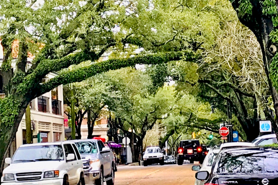 Ocean Springs, MS A Quaint Town on The Secret Coast, Day 150