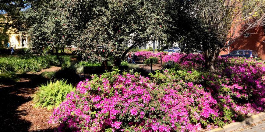 A Beautiful Day Spent In Historic Savannah, Georgia – Day 181 savannah