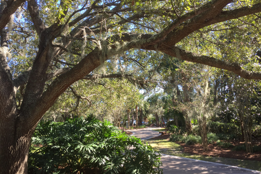 bike path 