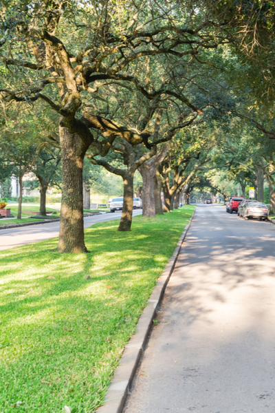 streets of Hilton Head Island 