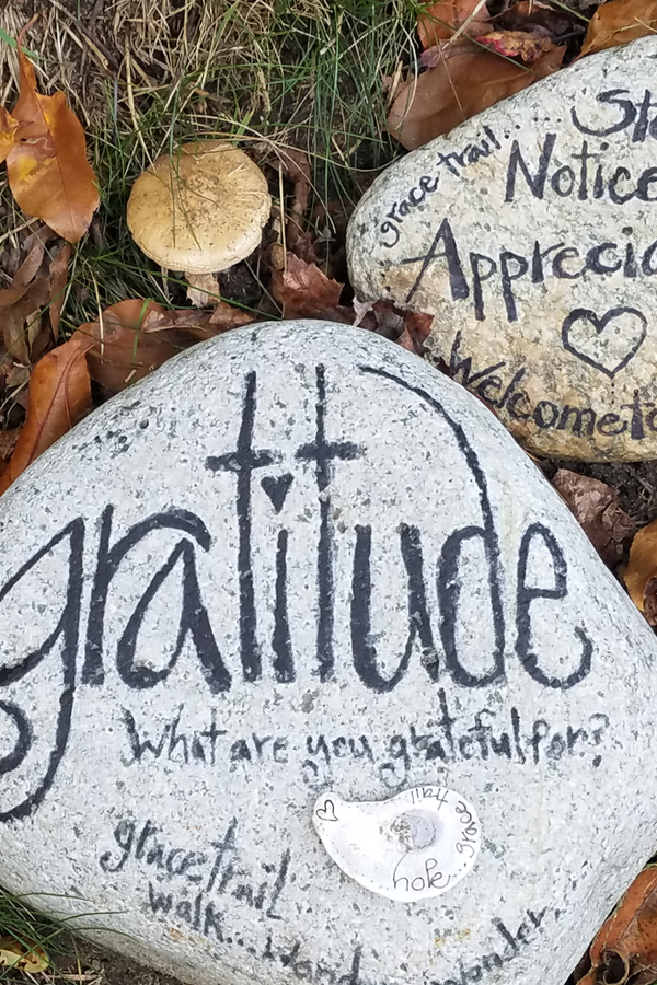 gratitude