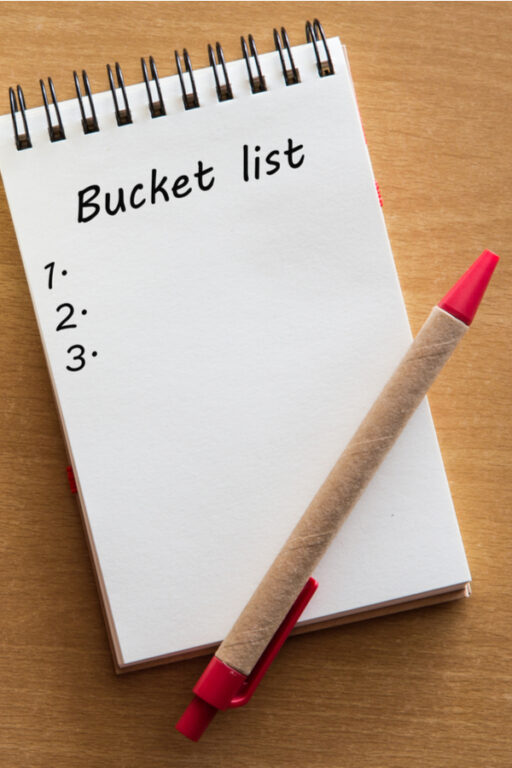 essay on bucket list